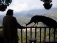/album/fotogaleria/sdc13731-jpg/