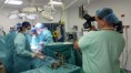 /album/fotogaleria/transplante-jpg/